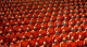 f_5e0d35e98bc1f8dc4033d5287b265bfc.png
